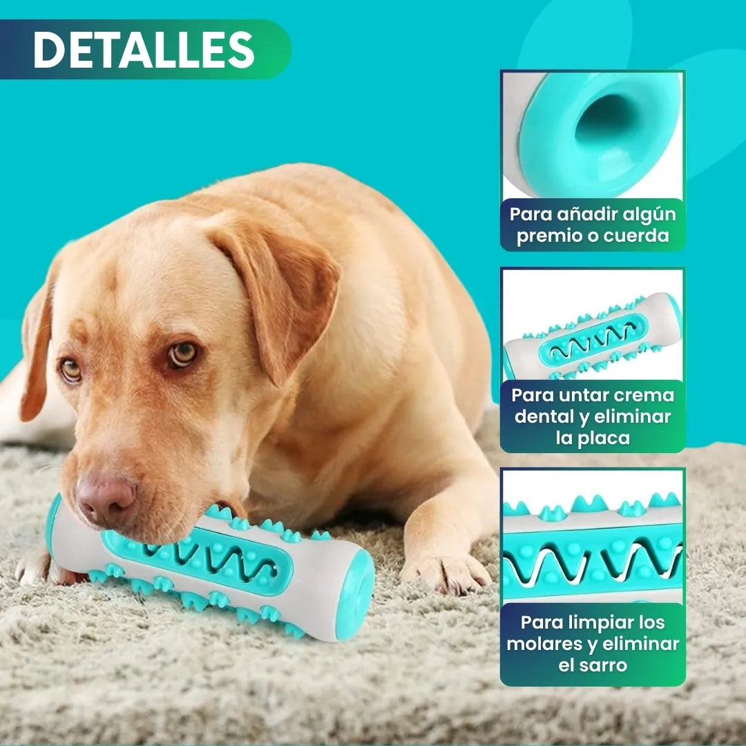 DentiCool 360° | Mastica, Limpia y Entretiene + eBook 🎁