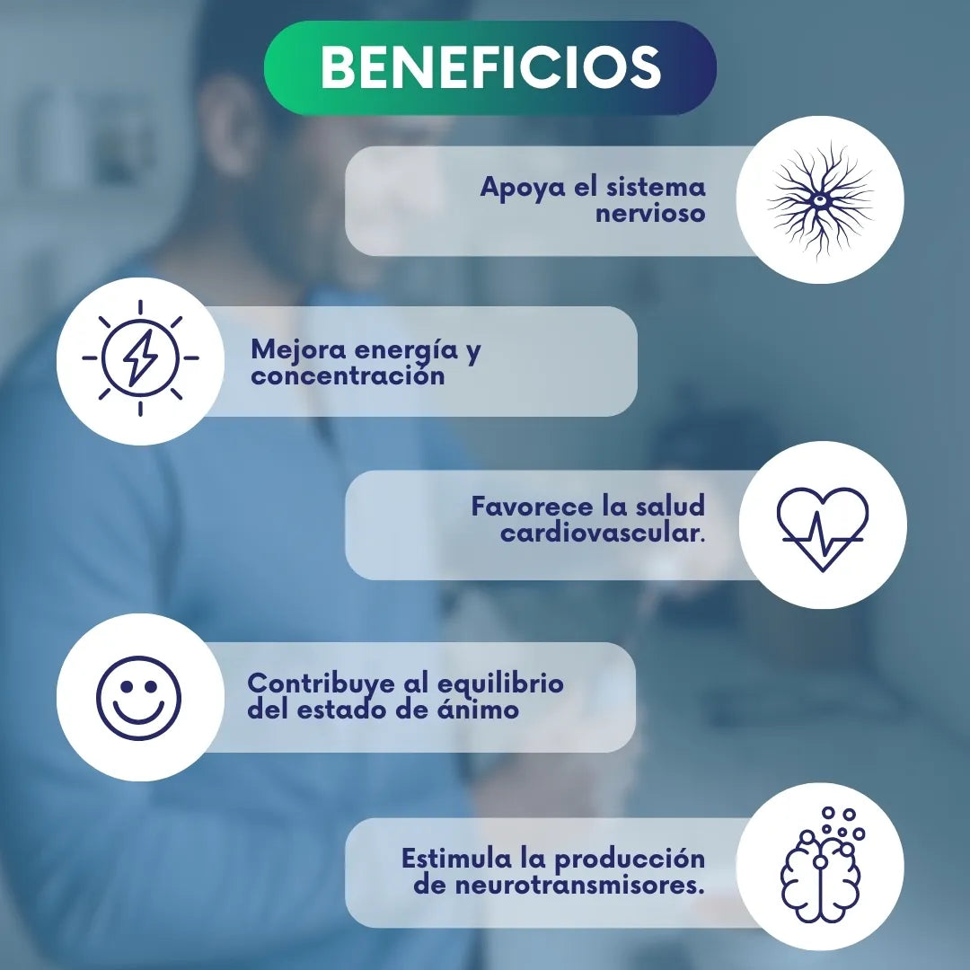 VitalB12 - Gotas 100% naturales de vitamina B9-12 para energia y concentración